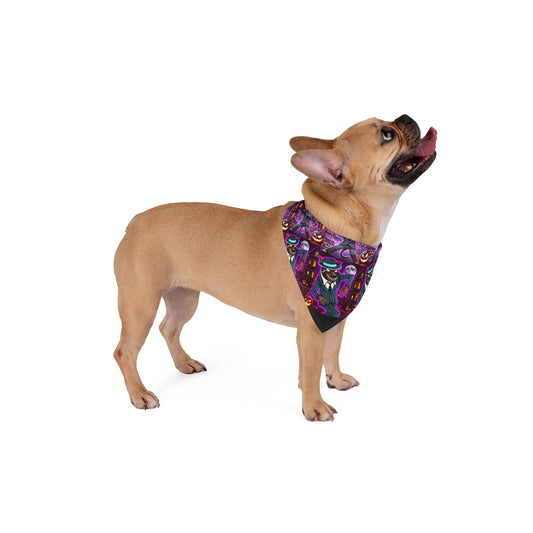 Halloween Dog & Cat Zootsuit - Pet Bandana