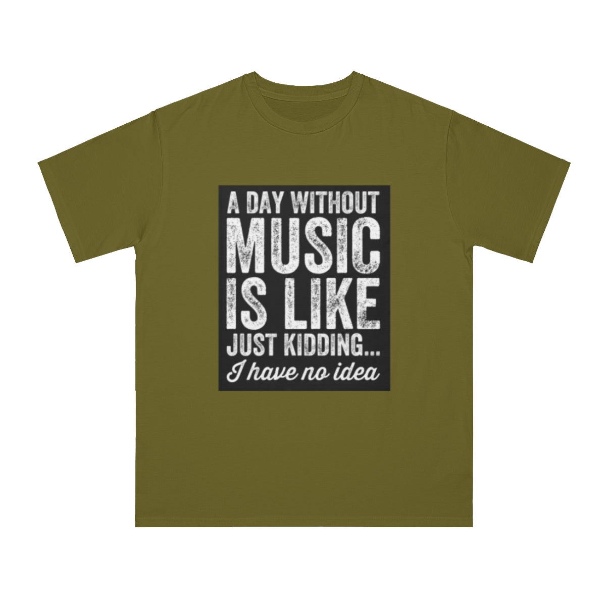 A Day Without Music... - Organic Unisex Classic T-Shirt