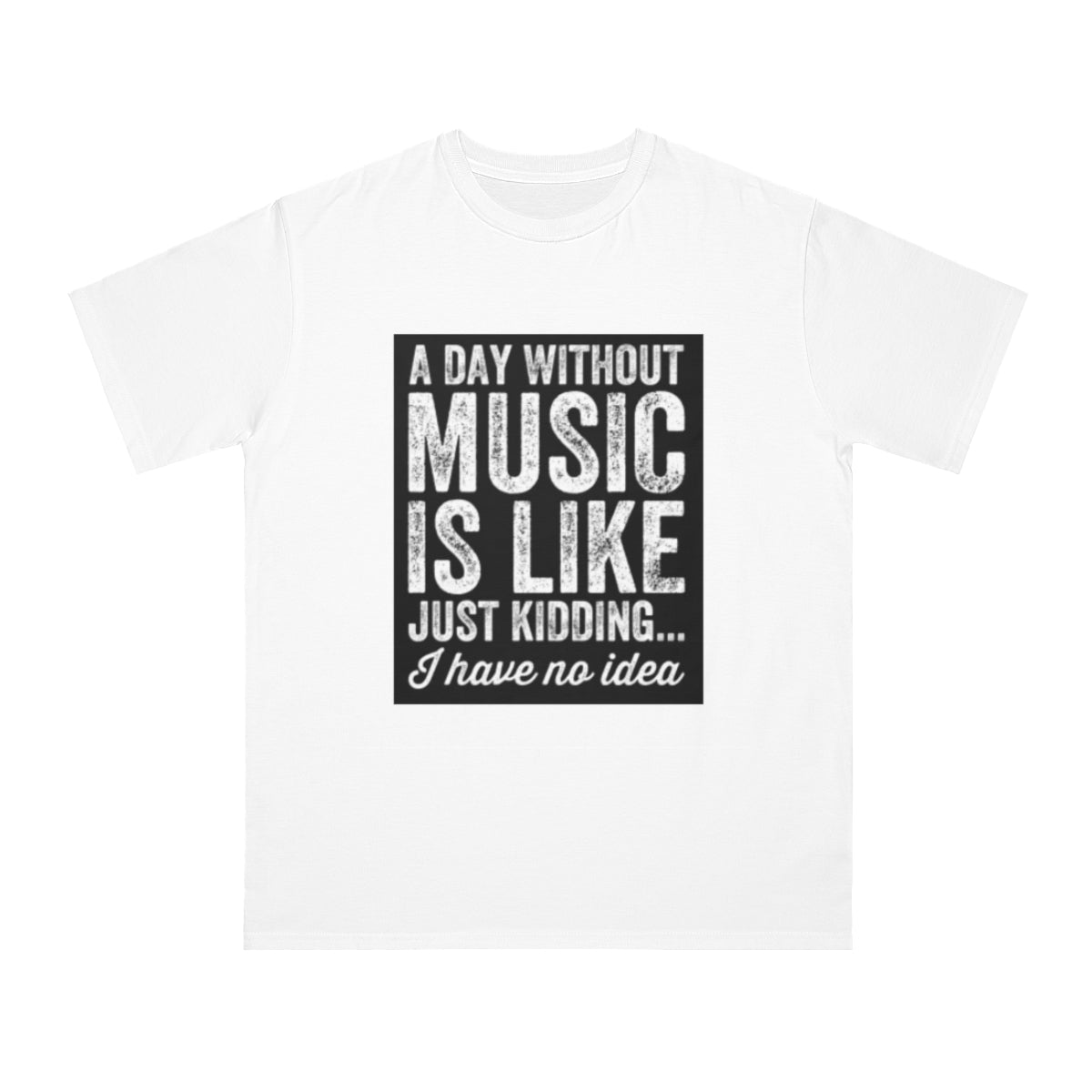 A Day Without Music... - Organic Unisex Classic T-Shirt